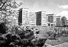 wp581914d5.jpg